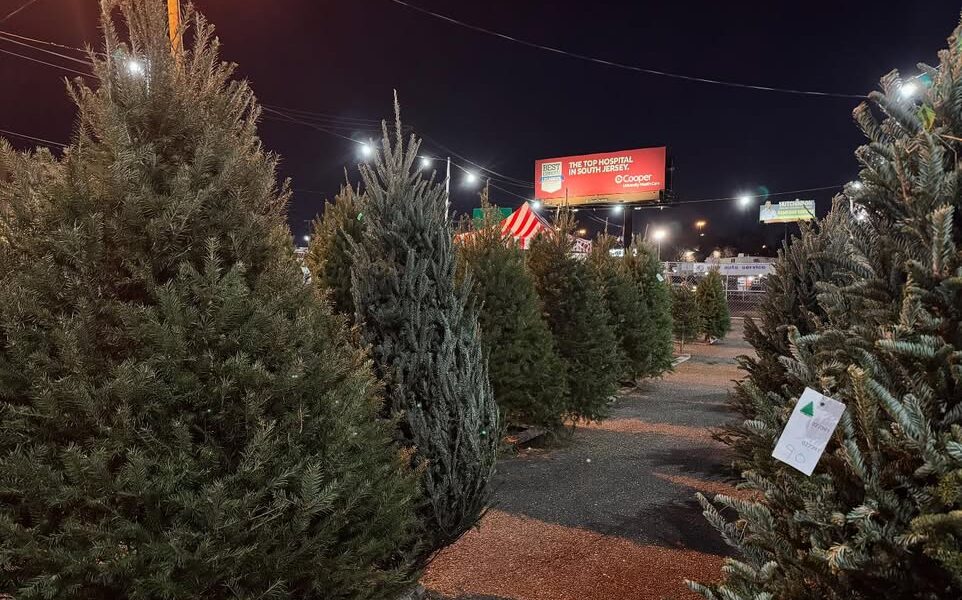 Christmas Trees