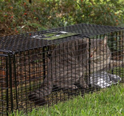 Pennsauken Trap Rental Program