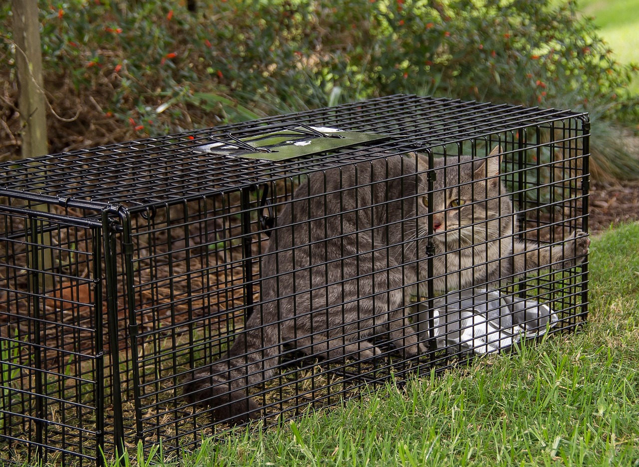 Pennsauken Trap Rental Program