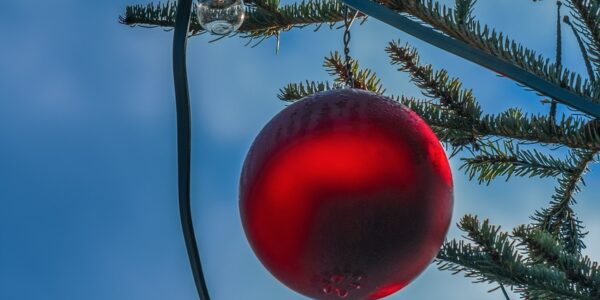 Christmas Tree with Ornament