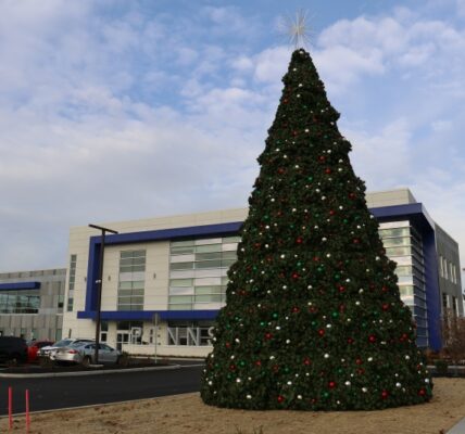 Tree Lighting at Pennsauken Municipal Building and Library Complex