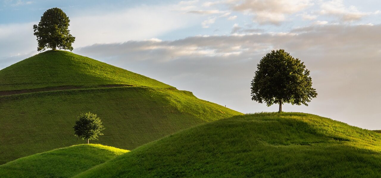 Trees